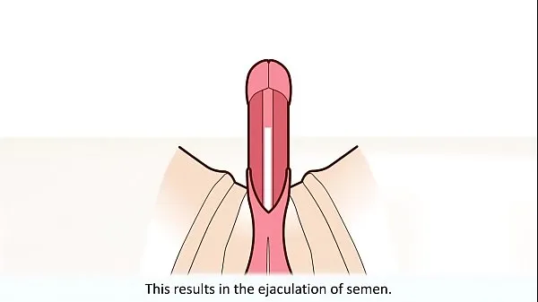Tampilkan The male orgasm explained Film terbaik
