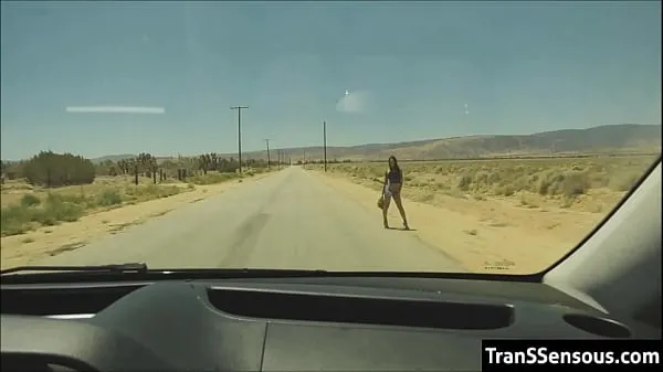 Vis Transsexual hitchhiker fucked in the ass beste filmer